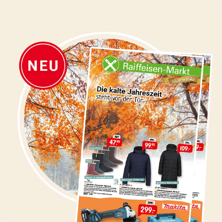 prospekt november bubble titel hauptprospekt 11 2025 800x800 1